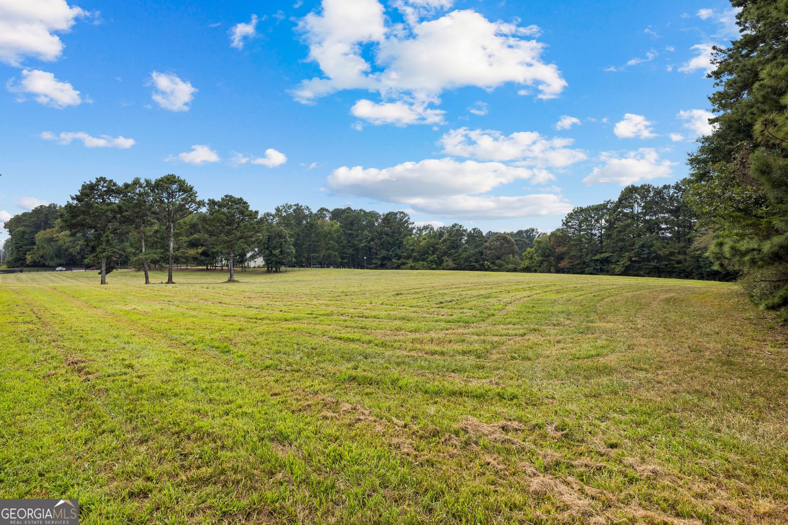 492 Crawford Road Senoia - Photo 61