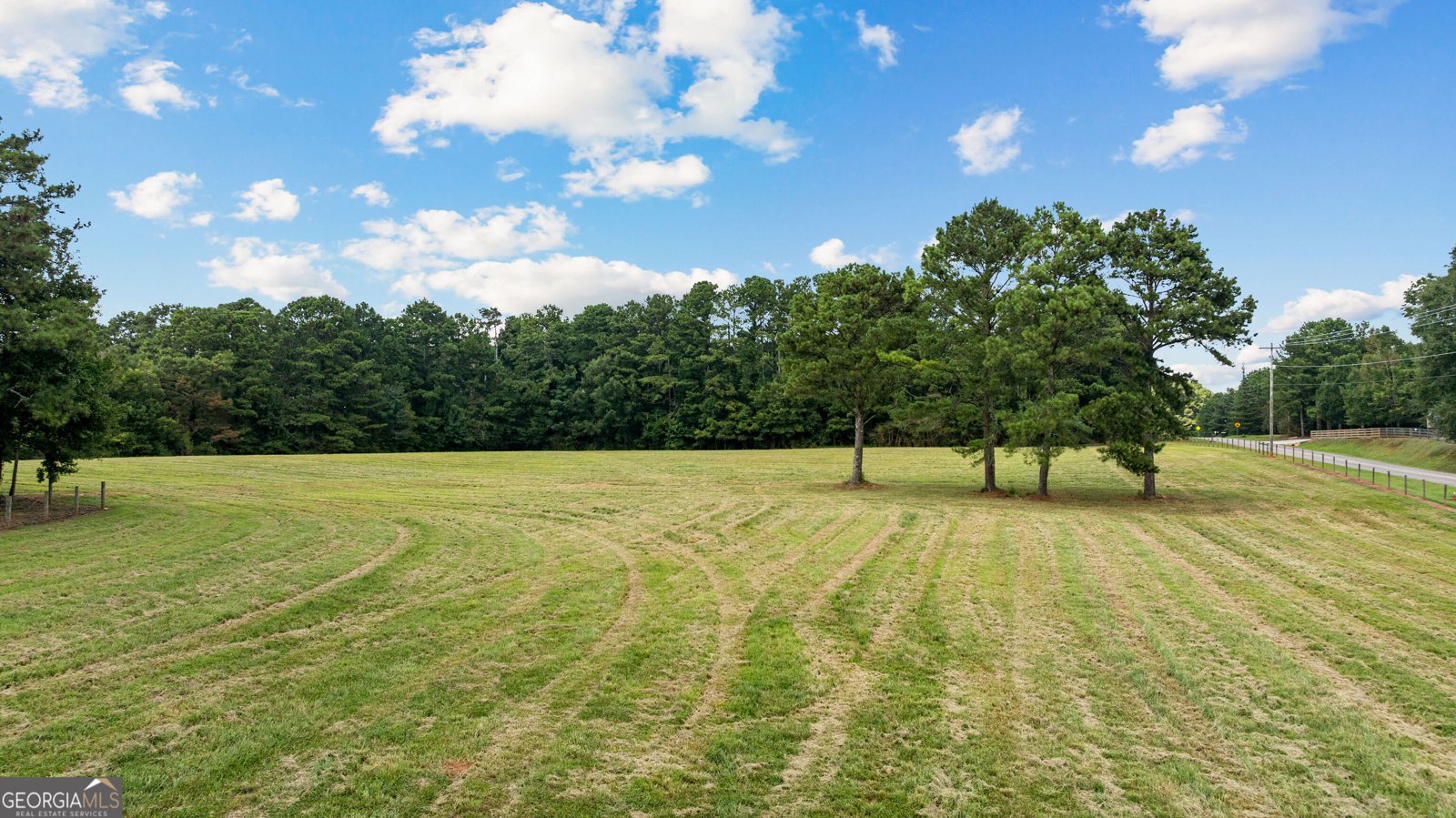 492 Crawford Road Senoia - Photo 62