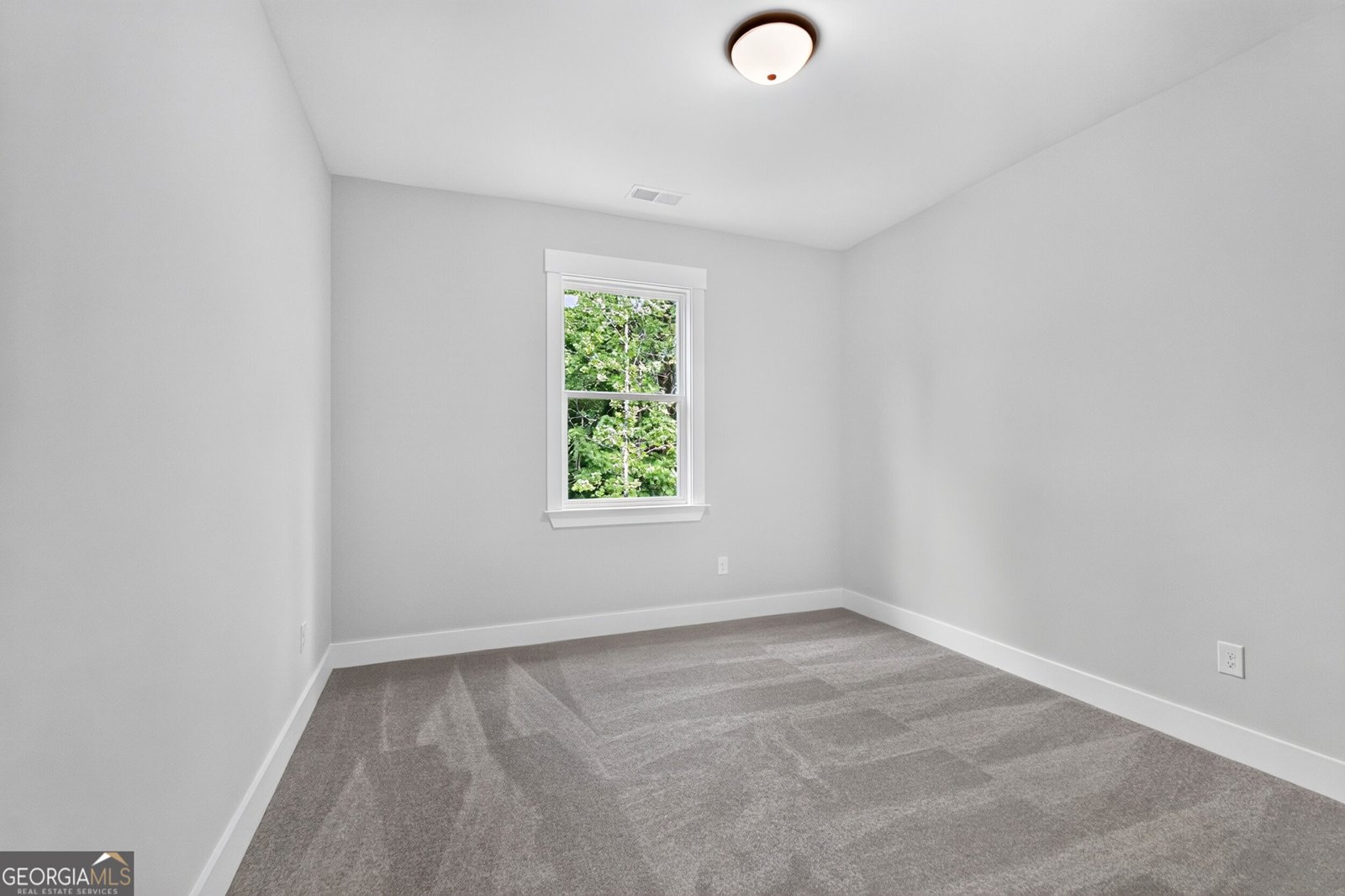 45 Cedar Crest Lane Dawsonville - Photo 33