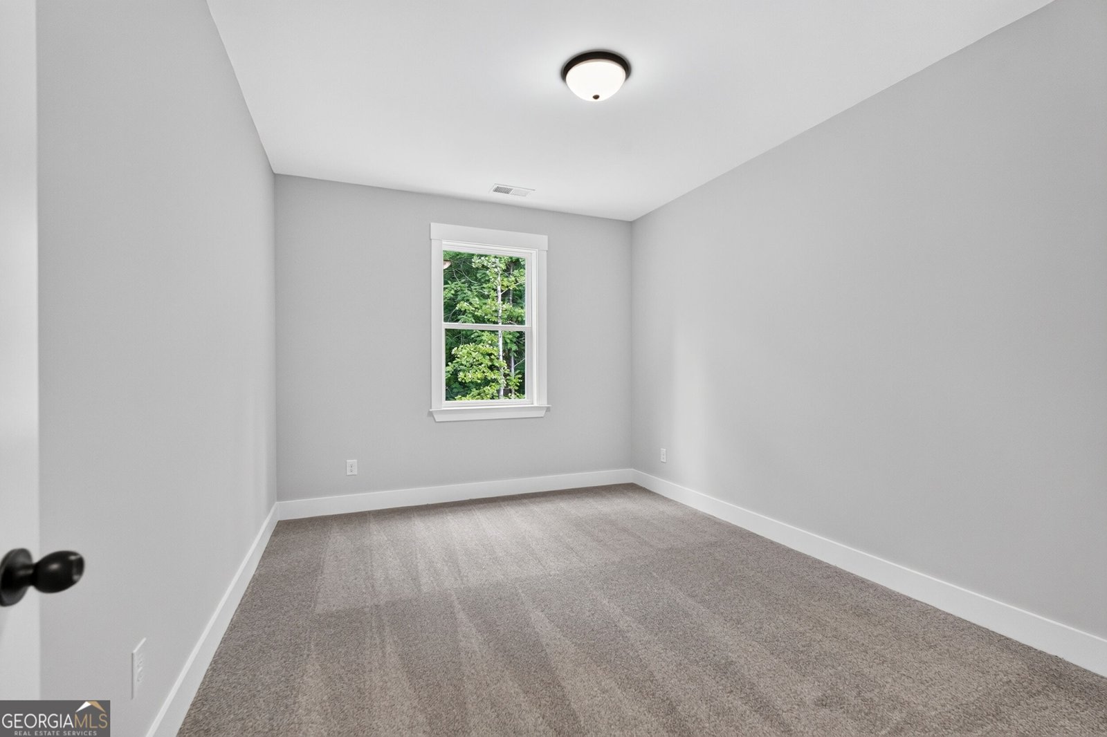 45 Cedar Crest Lane Dawsonville - Photo 49