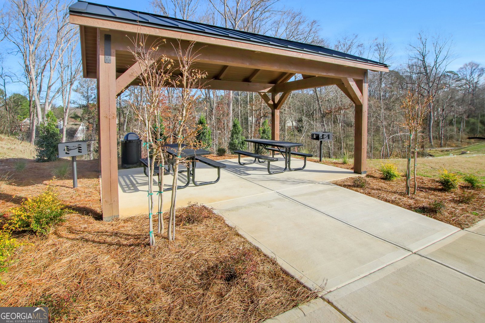 45 Cedar Crest Lane Dawsonville - Photo 59