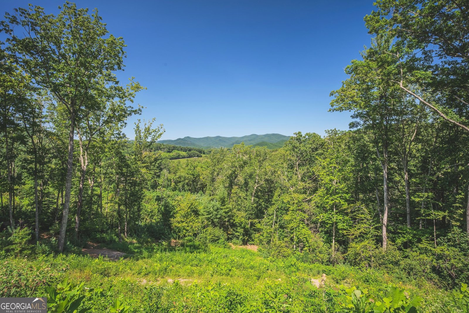 177 Kennedys Court Blairsville - Photo 60
