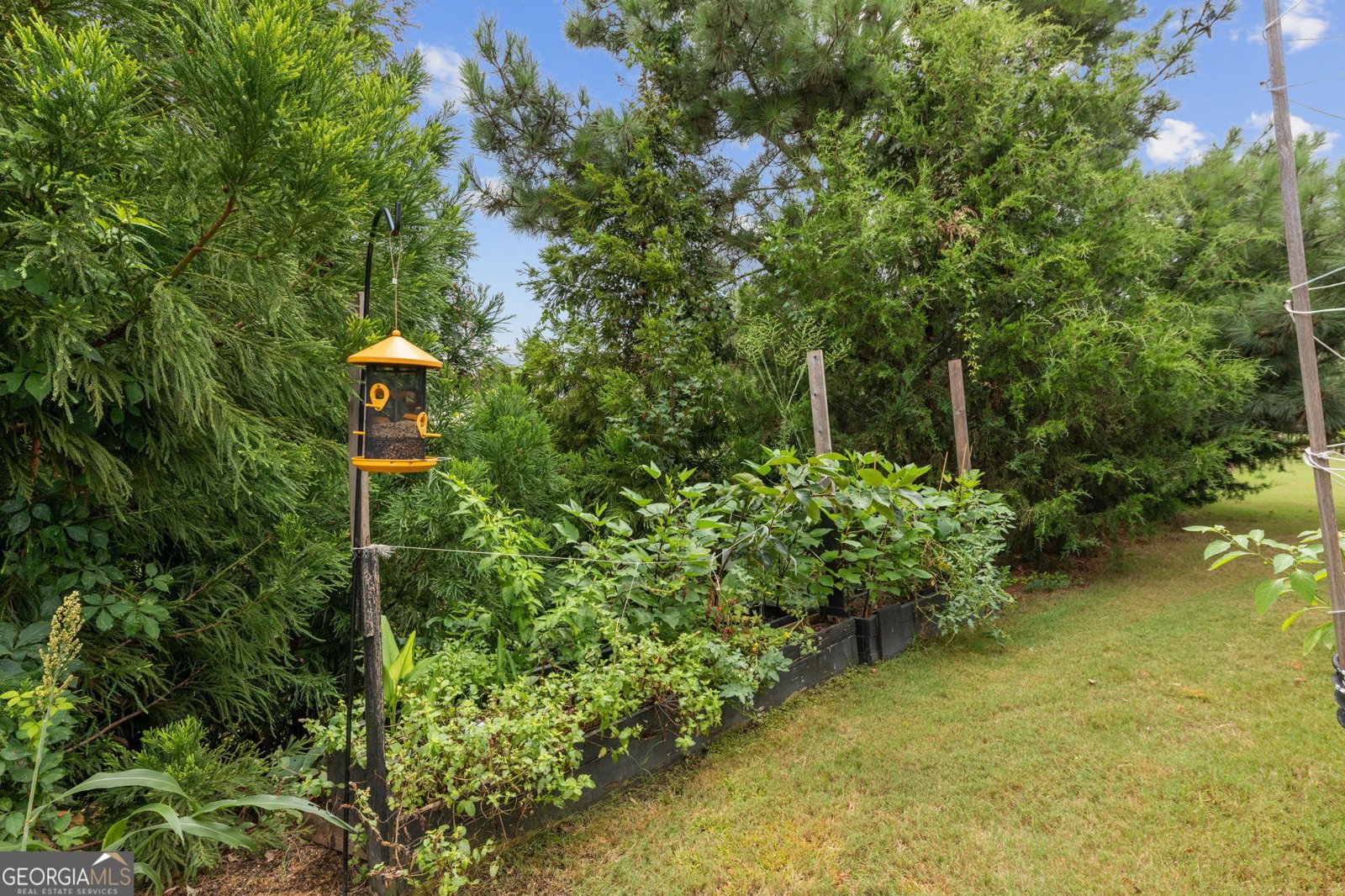 2986 Rambler Drive Loganville - Photo 26