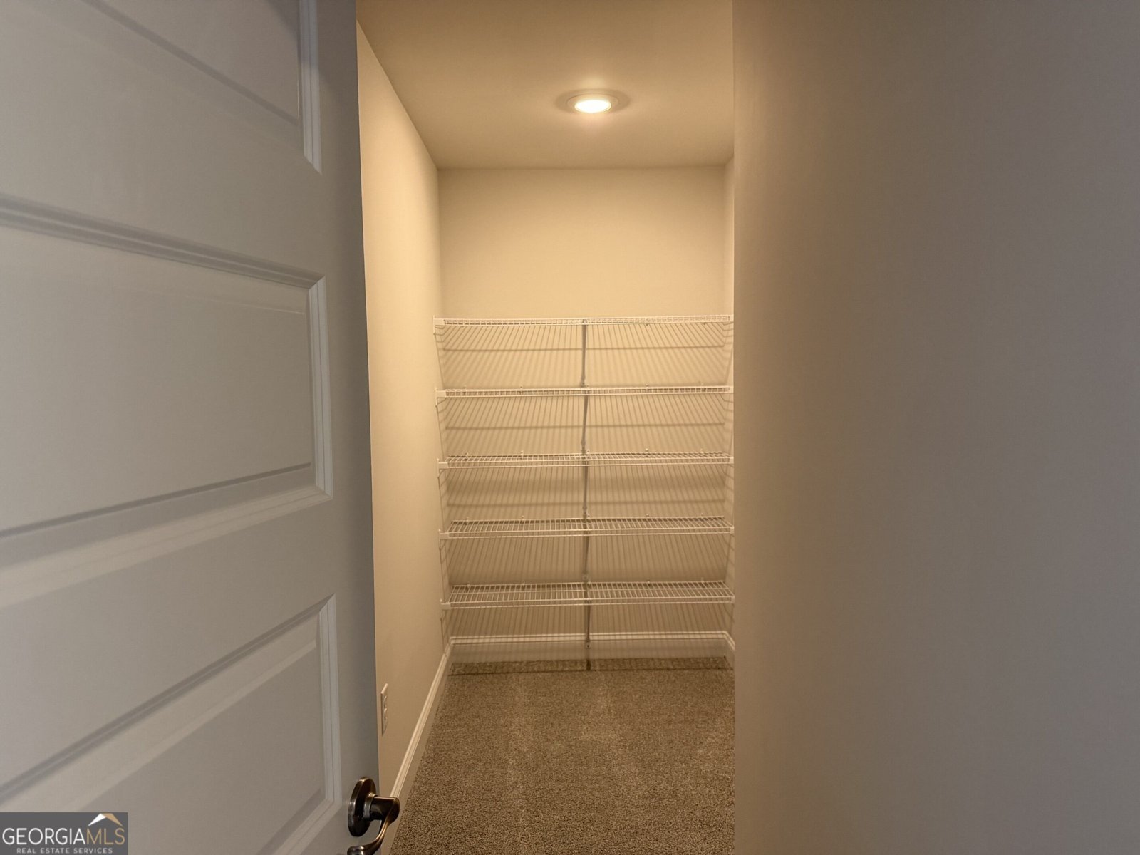 450 Magnolia Grove Place Cornelia - Photo 22