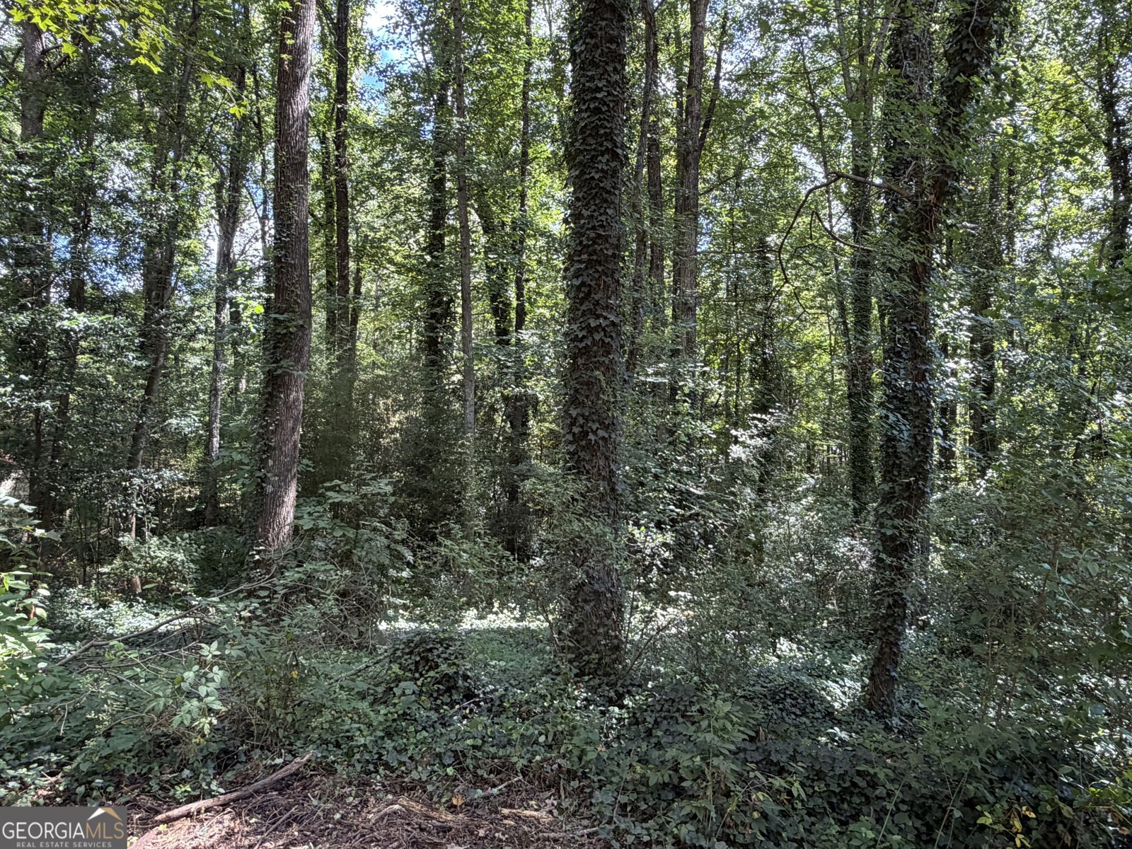 131 Meadow Ridge Drive Stockbridge - Photo 17