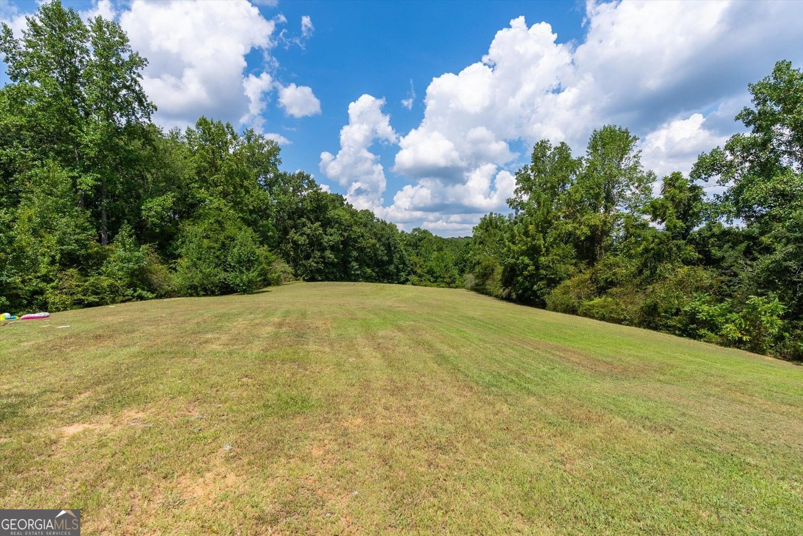 3715 GA Highway 219 Franklin - Photo 45