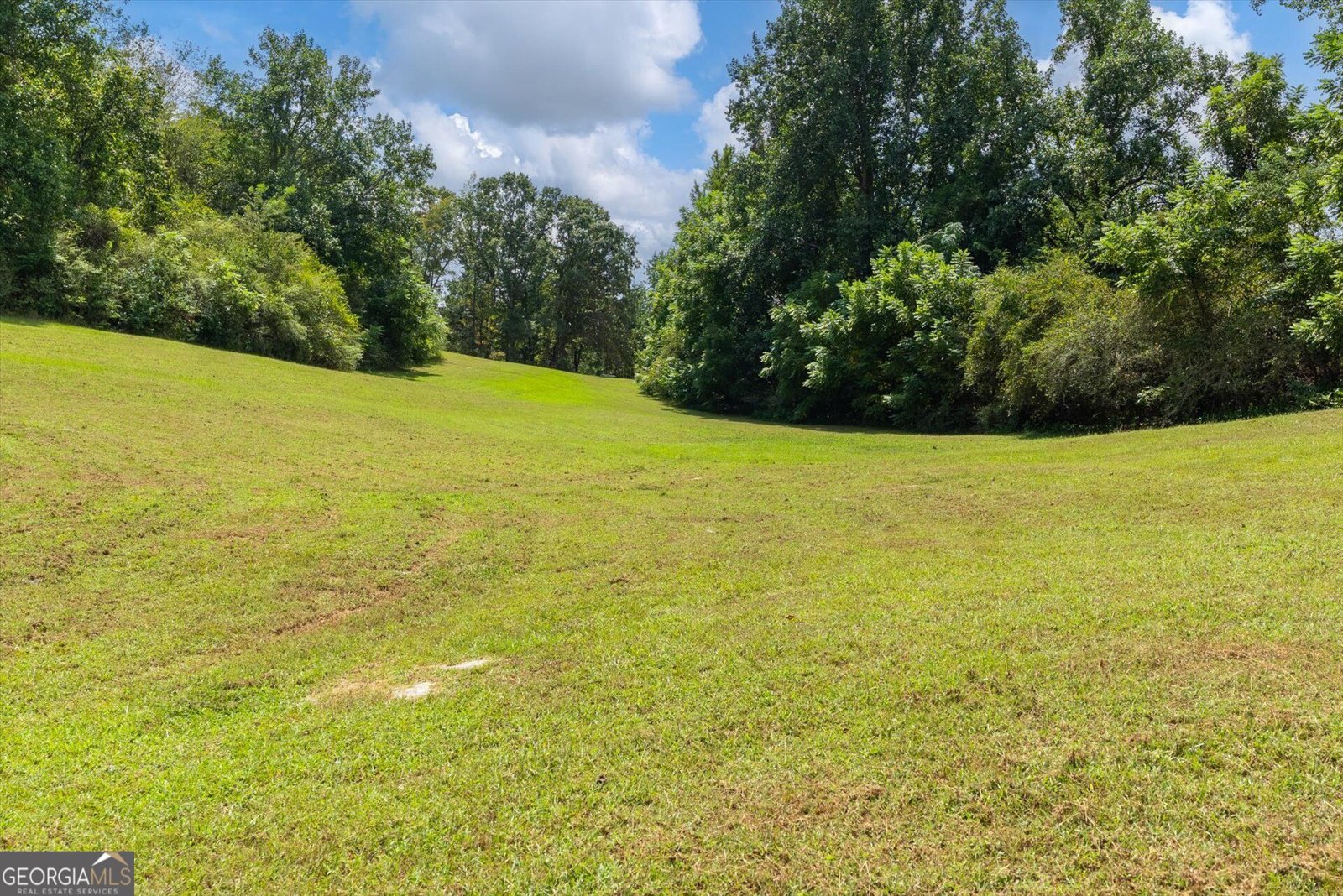 3715 GA Highway 219 Franklin - Photo 46