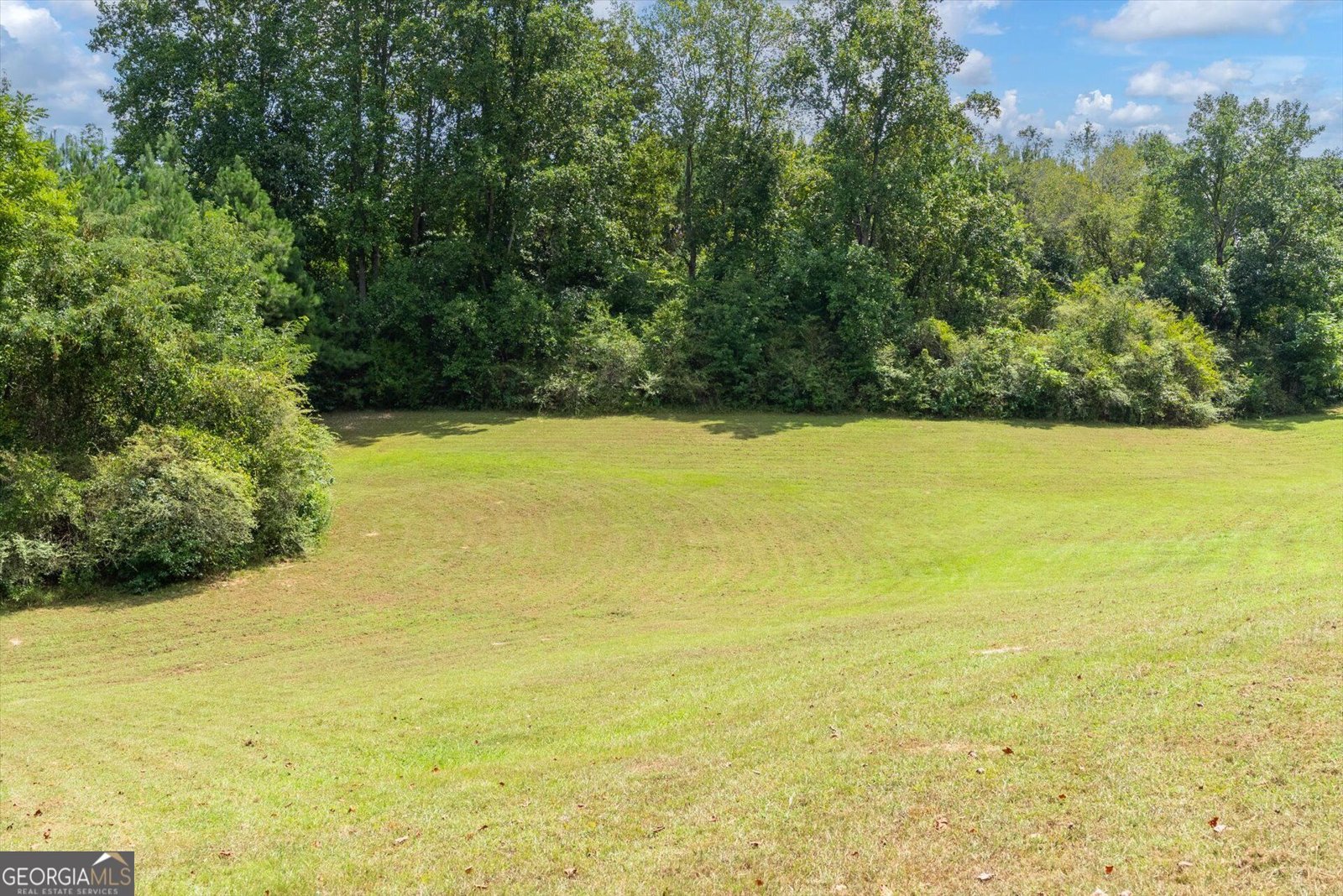 3715 GA Highway 219 Franklin - Photo 47