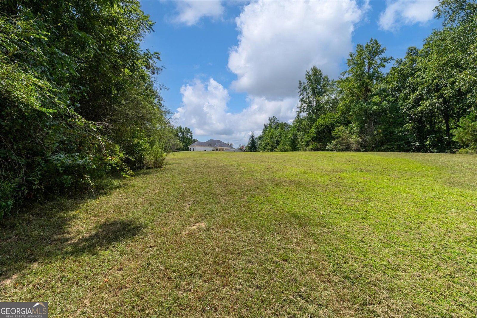3715 GA Highway 219 Franklin - Photo 48