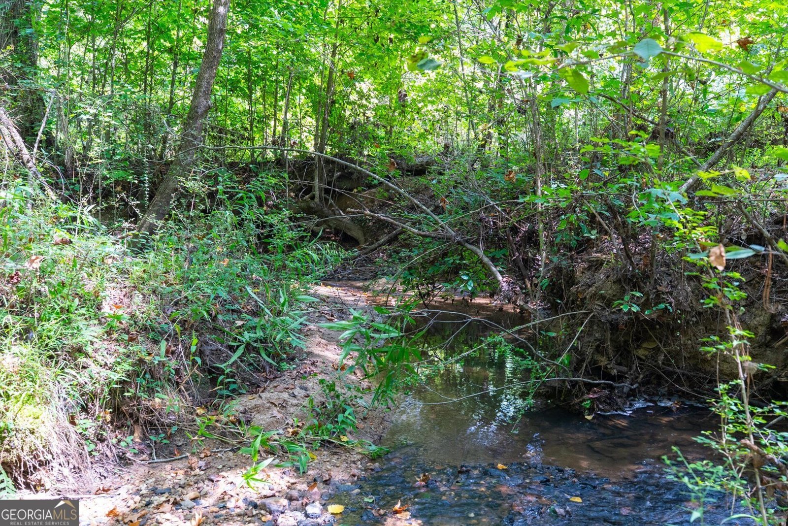 3715 GA Highway 219 Franklin - Photo 51
