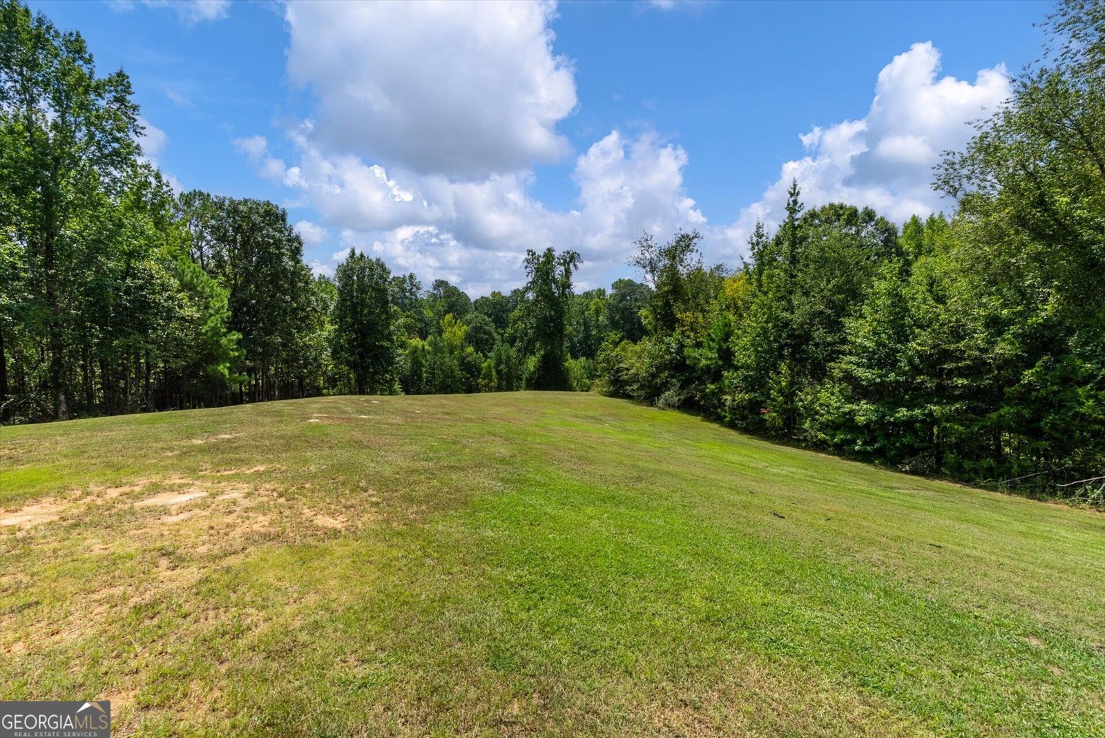 3715 GA Highway 219 Franklin - Photo 52