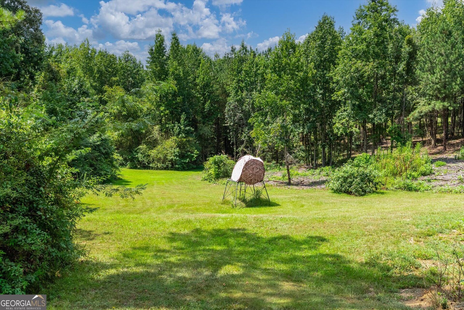 3715 GA Highway 219 Franklin - Photo 53