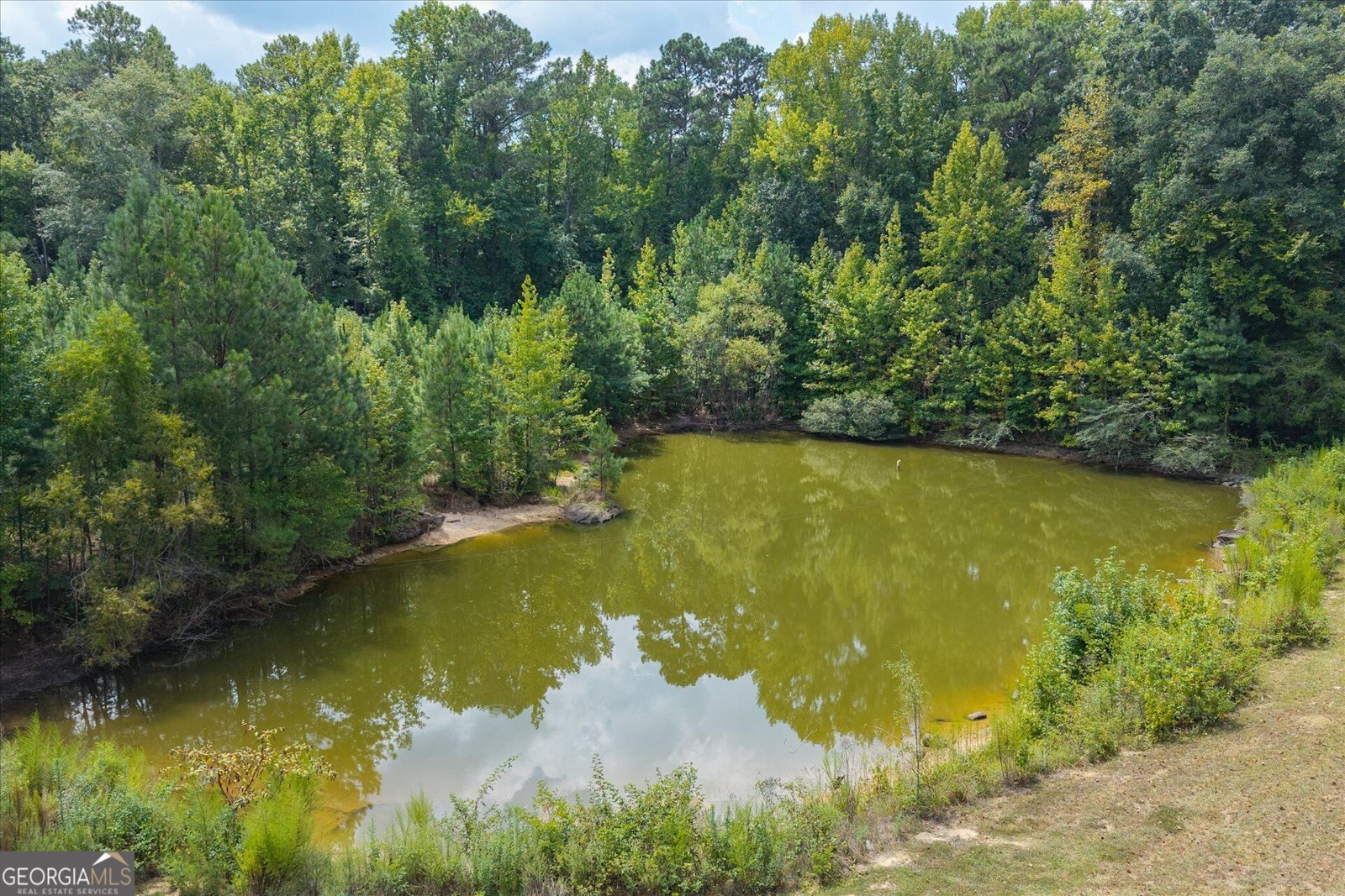 3715 GA Highway 219 Franklin - Photo 54