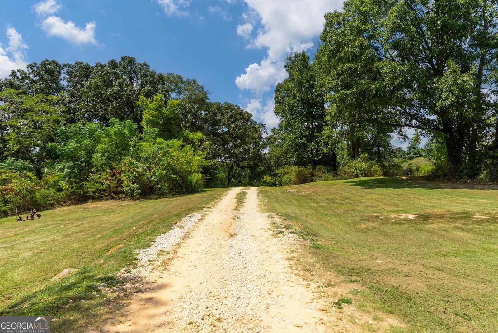 3715 GA Highway 219 Franklin - Photo 56