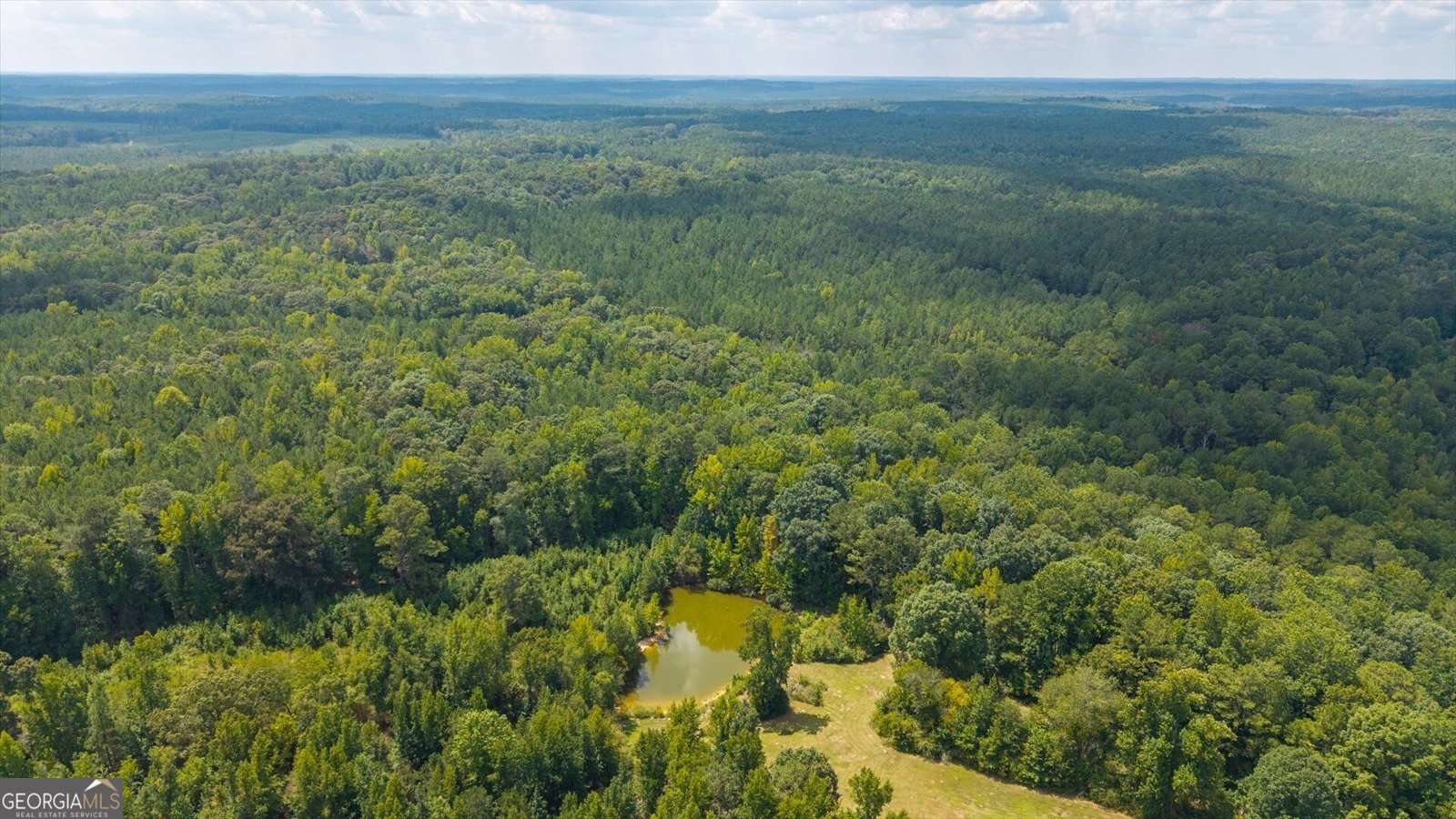 3715 GA Highway 219 Franklin - Photo 61