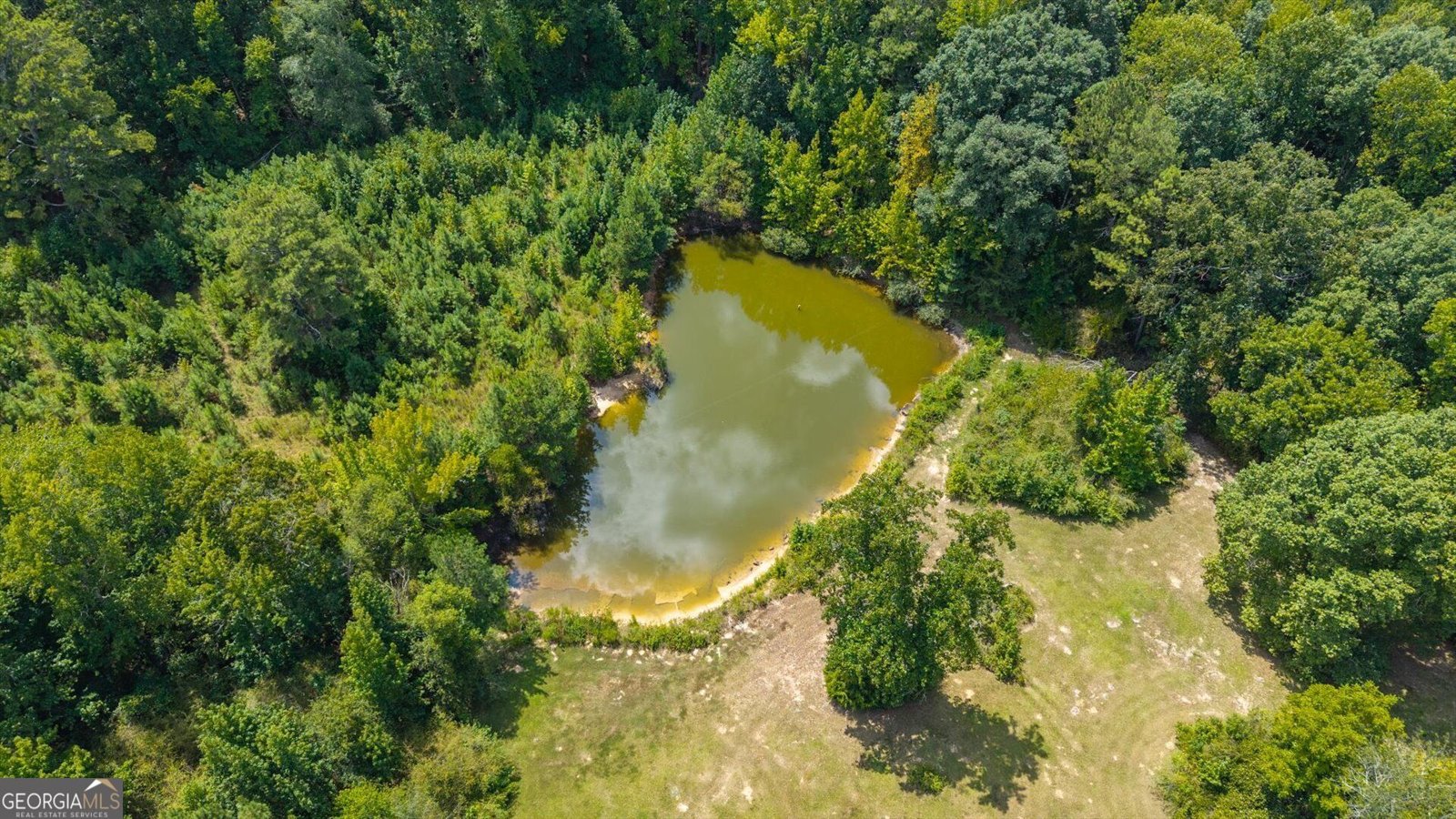 3715 GA Highway 219 Franklin - Photo 62