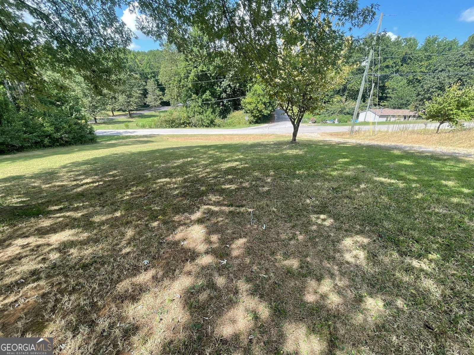74 Bridle Path Drive Ball Ground - Photo 68