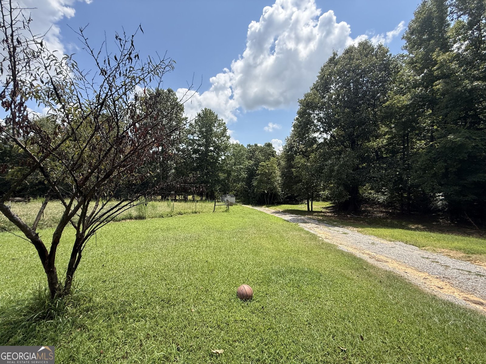 110 County Road 481 Collinsville - Photo 25