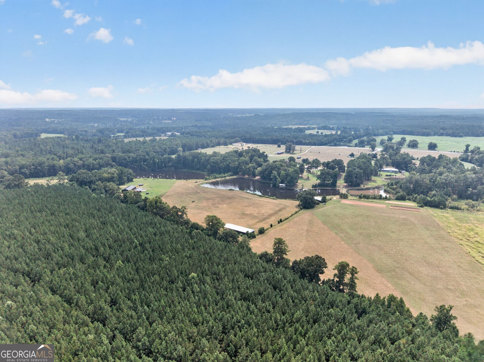 1988 GA Highway 212 W Monticello - Photo 46