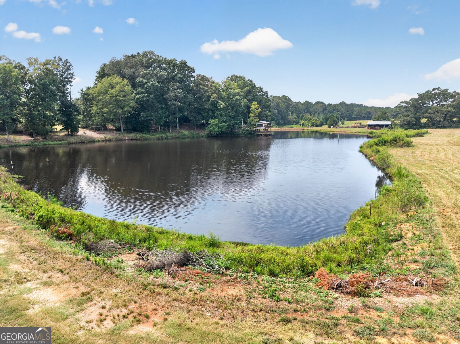 1988 GA Highway 212 W Monticello - Photo 48
