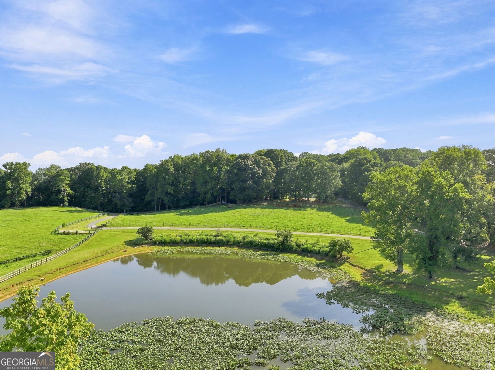 329 Willow Lakes Lane Jefferson - Photo 46