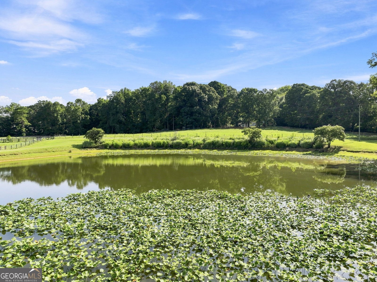 329 Willow Lakes Lane Jefferson - Photo 49