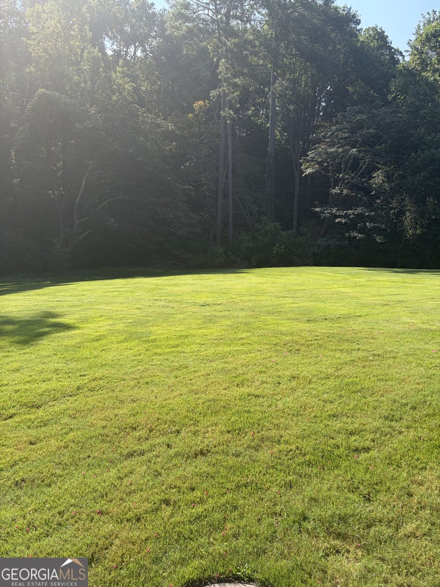24314 Plantation Drive Atlanta - Photo 10