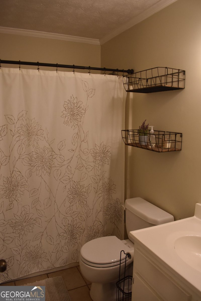 3628 Cherry Creek Drive Conyers - Photo 20