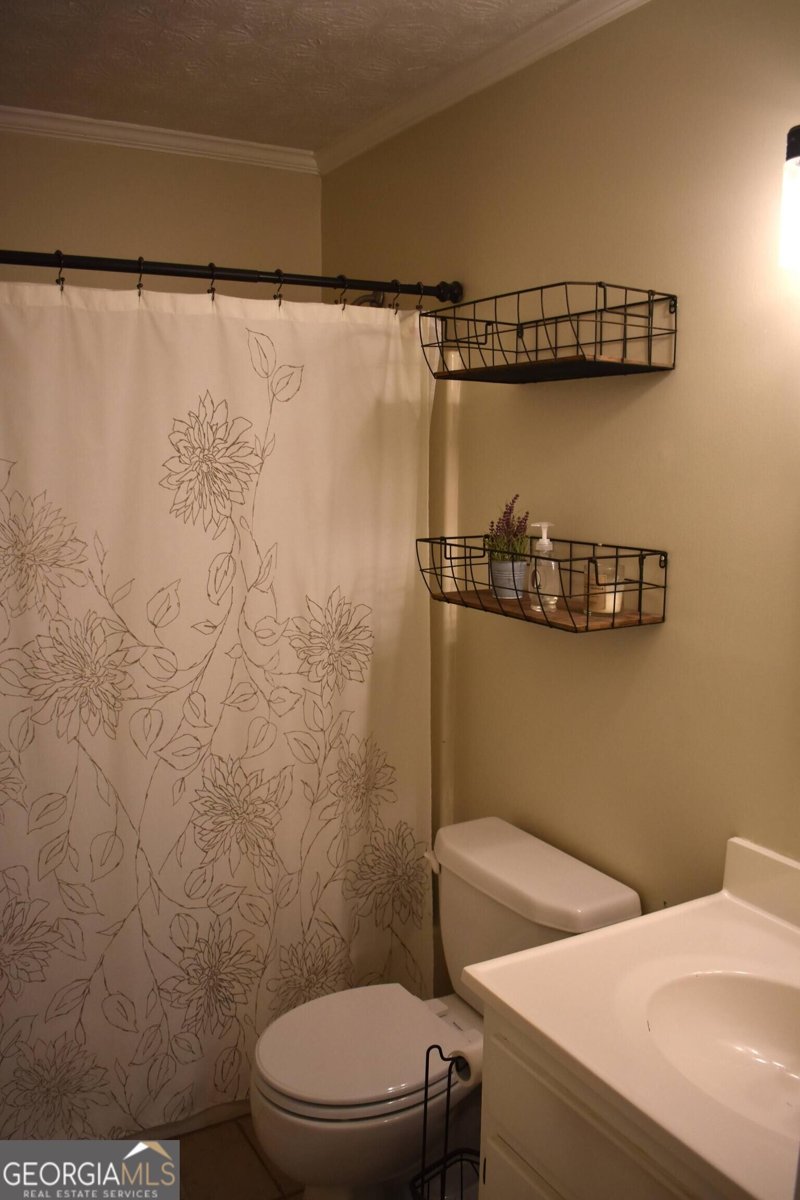 3628 Cherry Creek Drive Conyers - Photo 21
