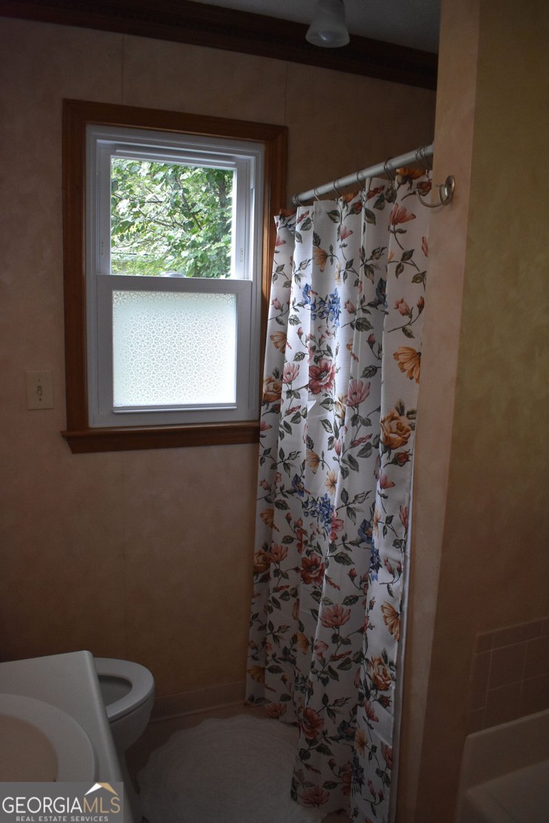 3628 Cherry Creek Drive Conyers - Photo 29