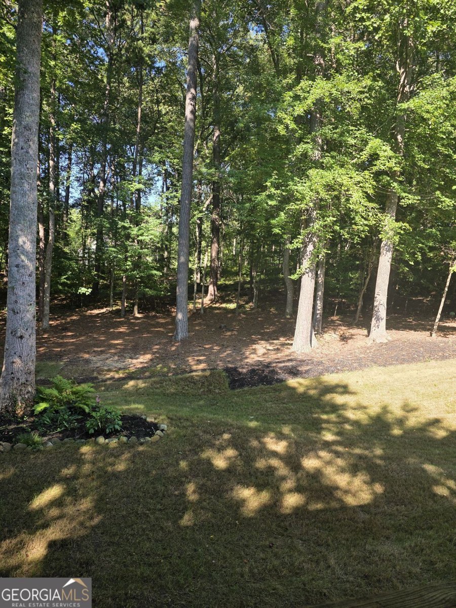 778 Crescent Circle Canton - Photo 69