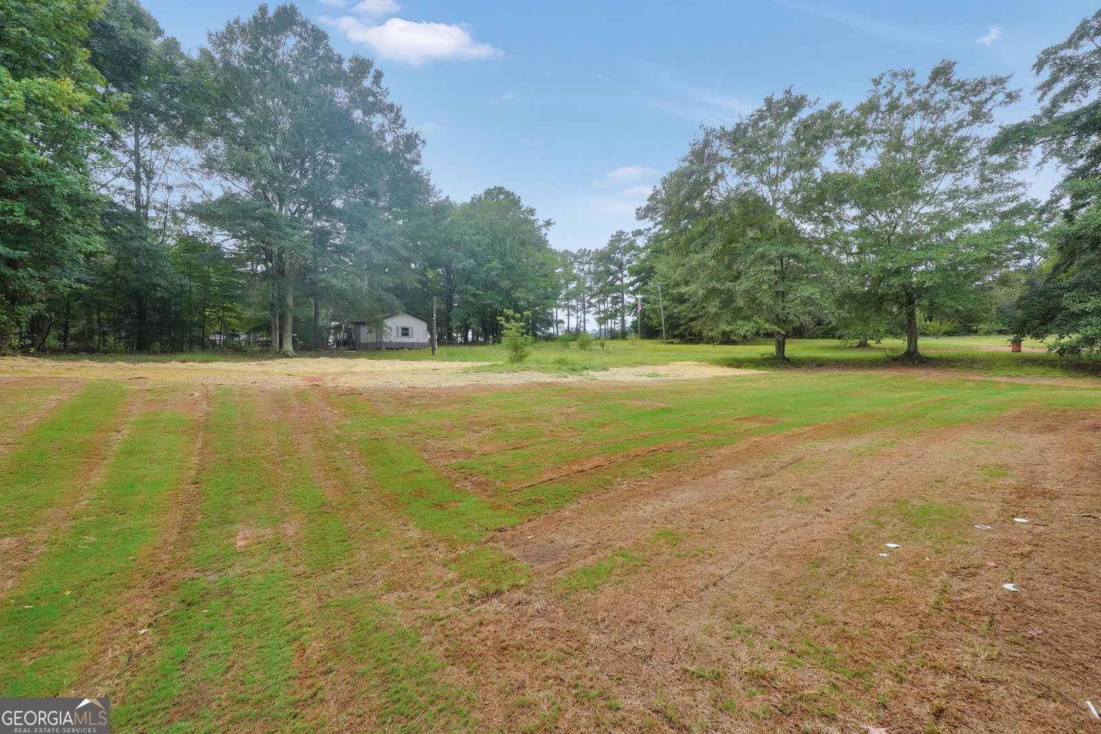203 McKneely Road Milner - Photo 42