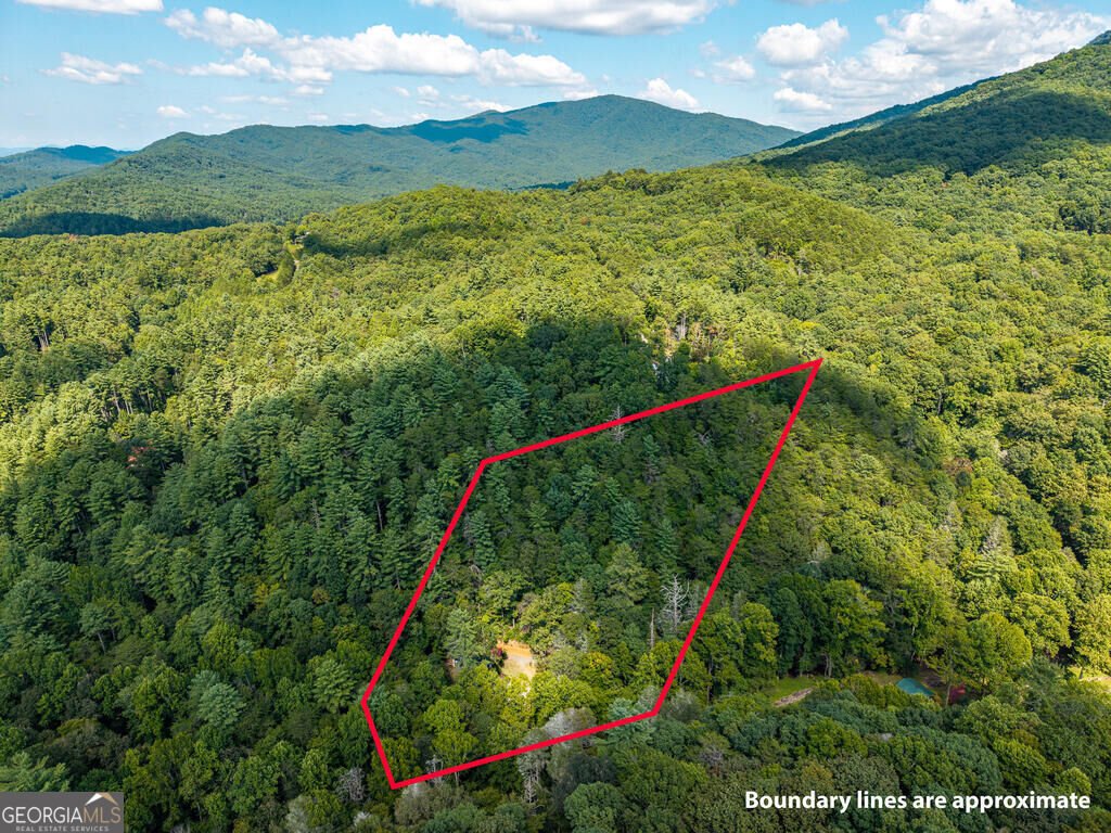 861 Little Rock Creek Road Cherry Log - Photo 45