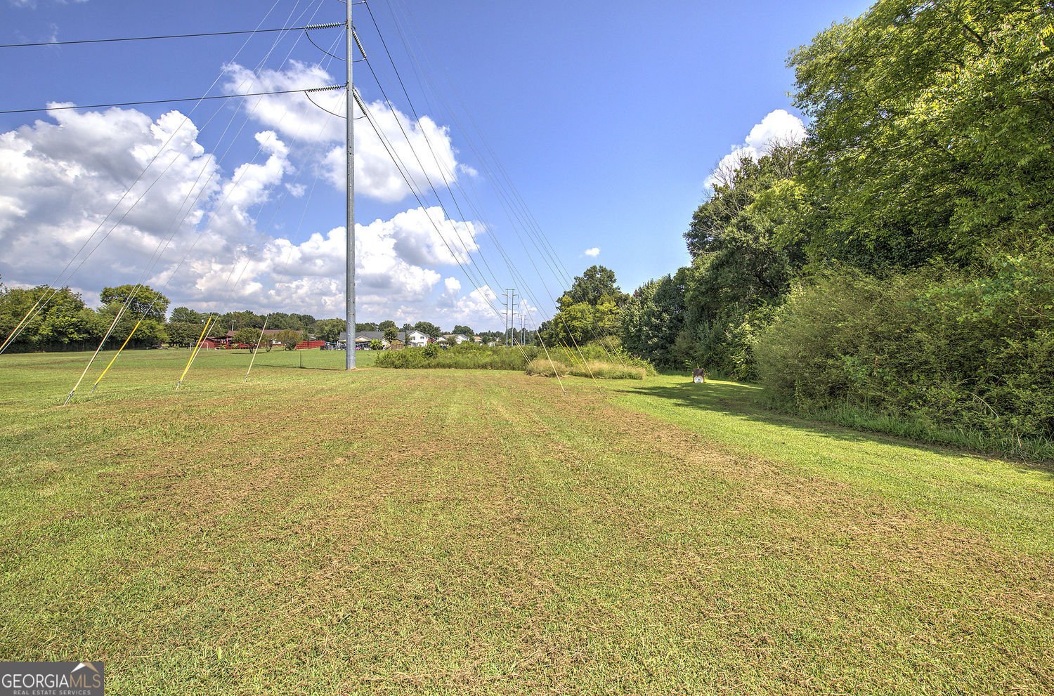 327 Larkspur Drive Calhoun - Photo 61