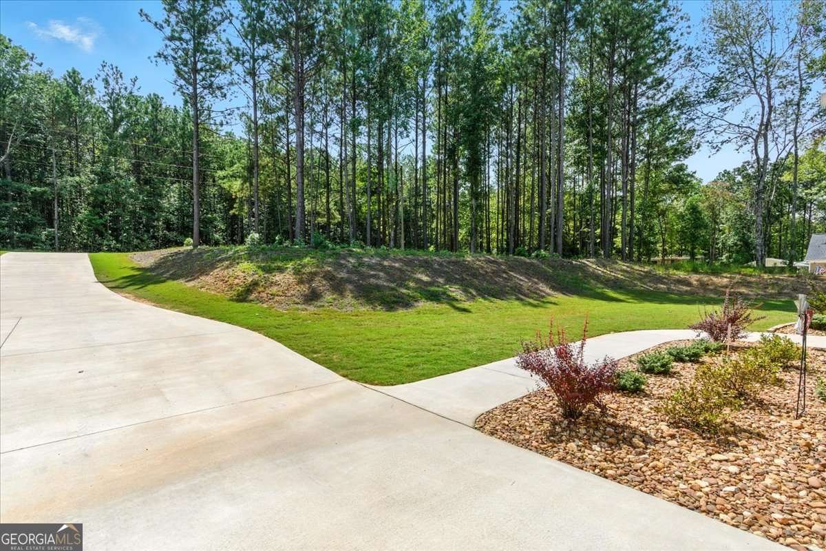 62 Joe Rowell Road Buchanan - Photo 7