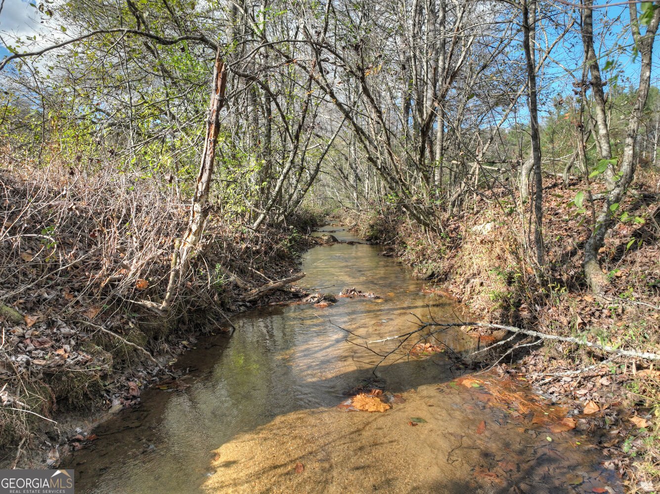 203 Buck Creek Trail Epworth - Photo 18