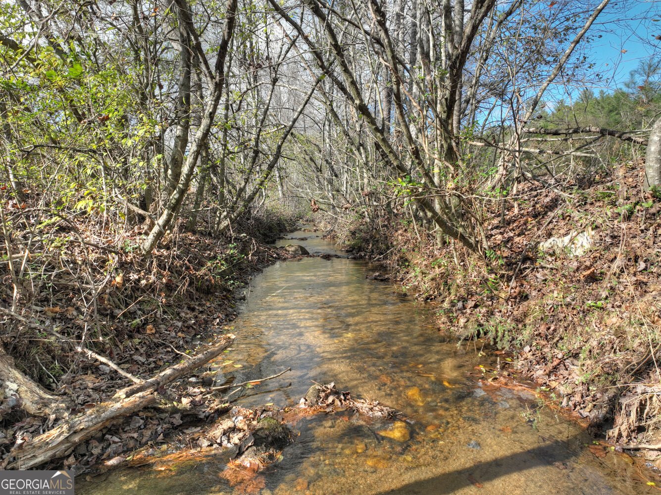 203 Buck Creek Trail Epworth - Photo 30