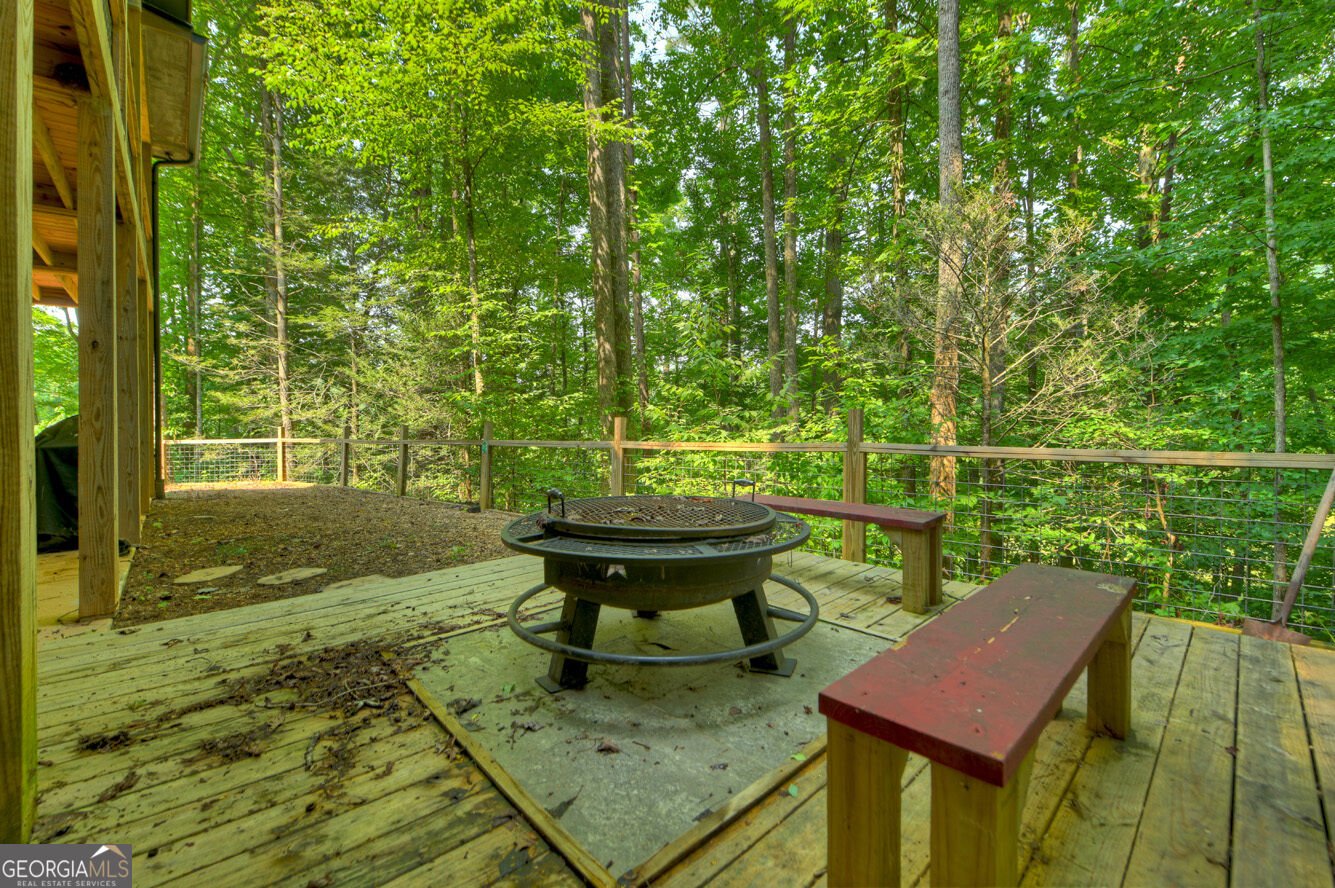 203 Buck Creek Trail Epworth - Photo 32