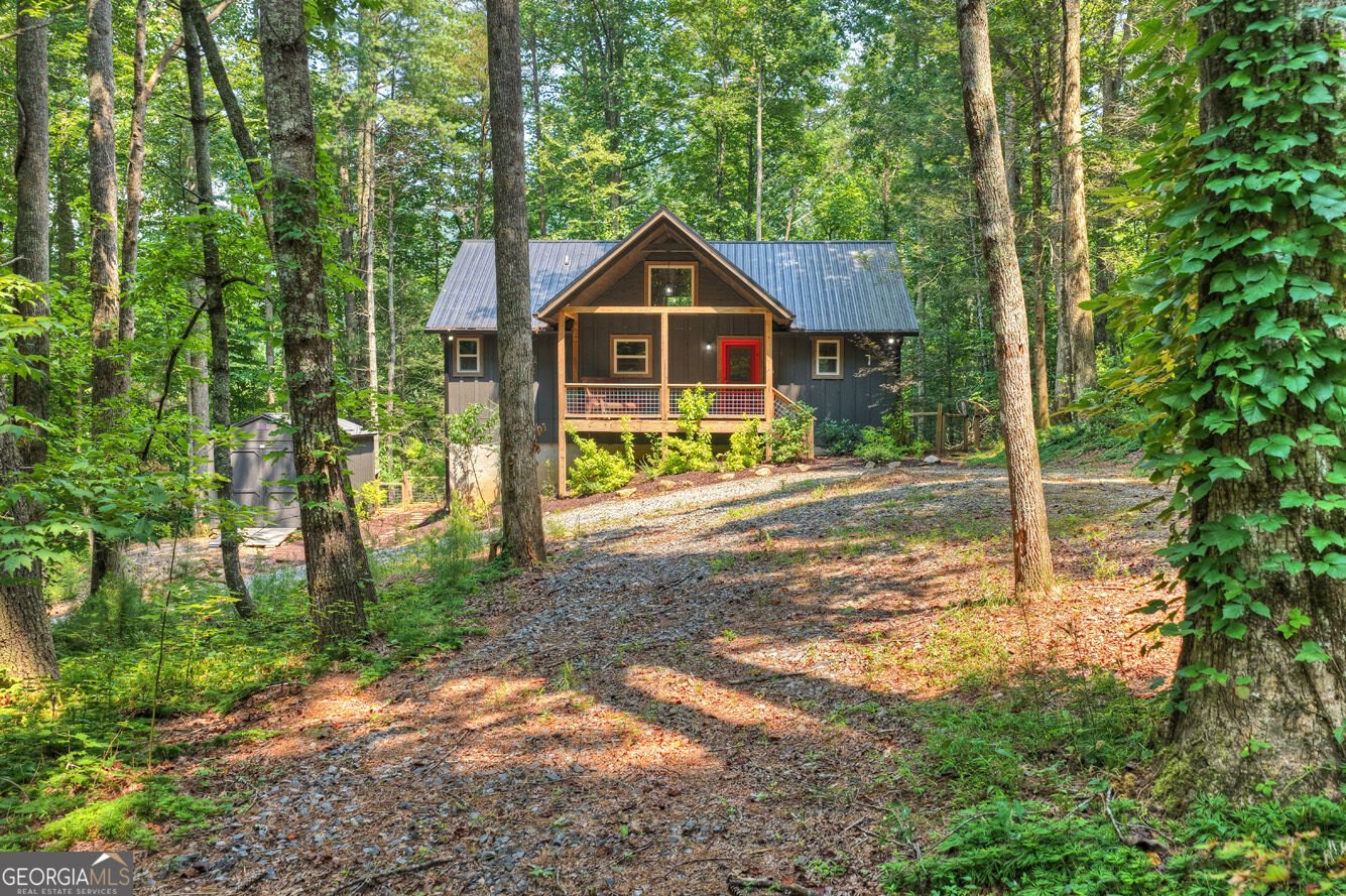 203 Buck Creek Trail Epworth - Photo 43