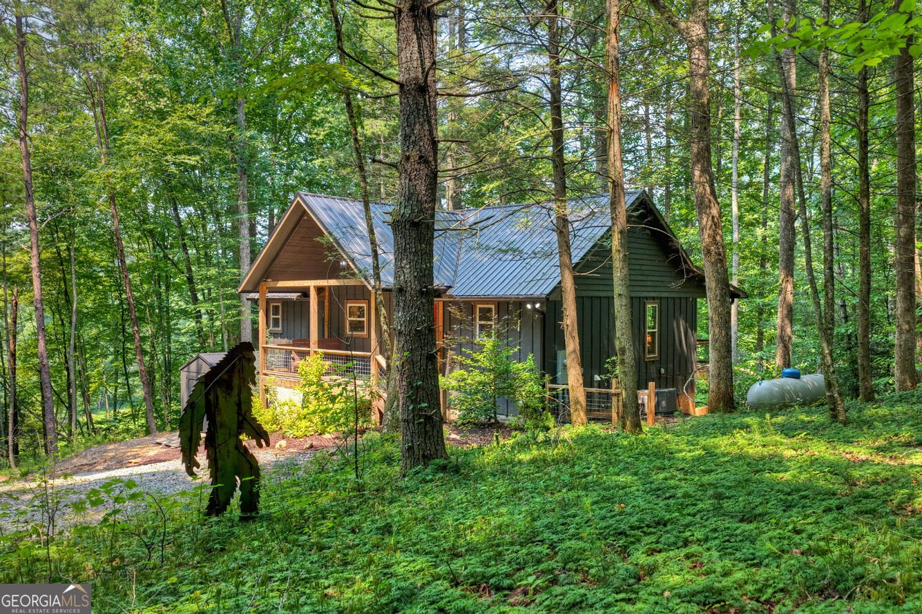 203 Buck Creek Trail Epworth - Photo 44