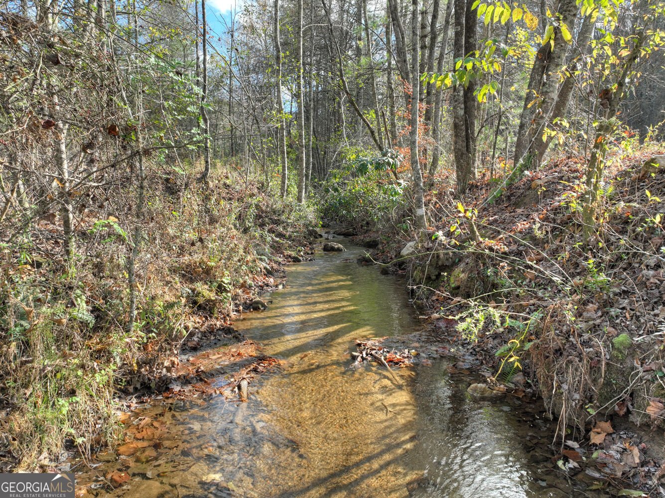 203 Buck Creek Trail Epworth - Photo 47