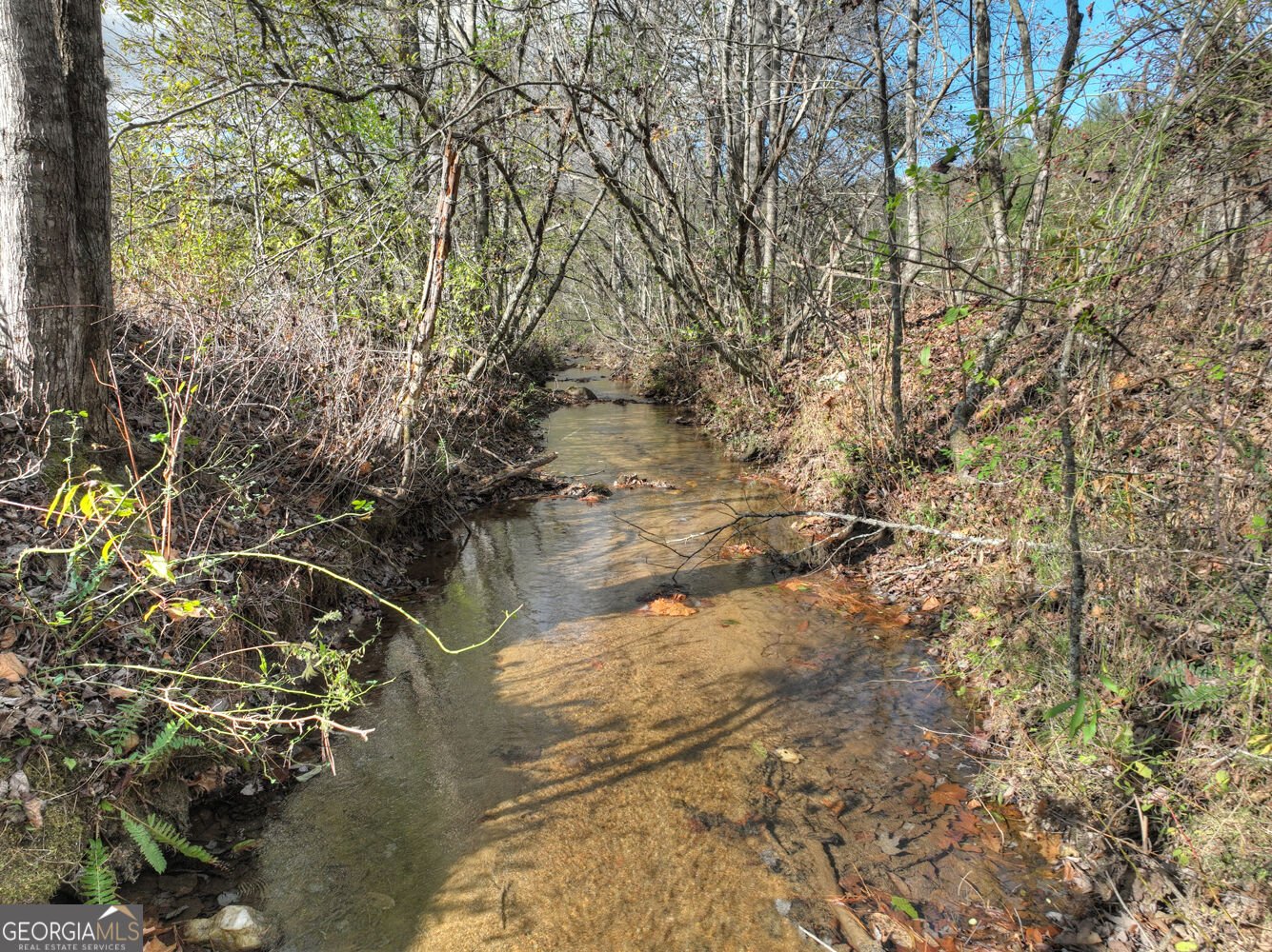 203 Buck Creek Trail Epworth - Photo 48