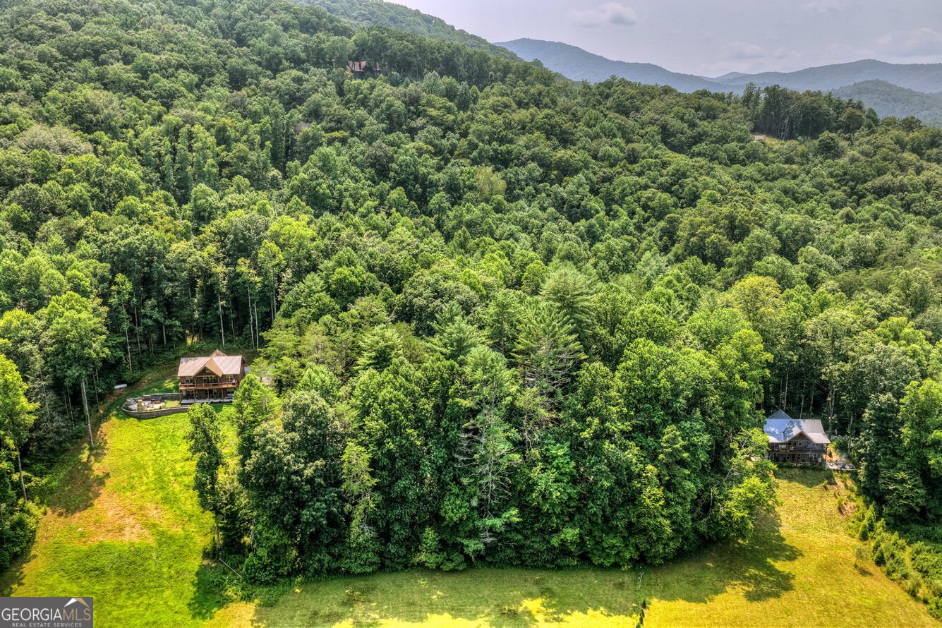 203 Buck Creek Trail Epworth - Photo 49