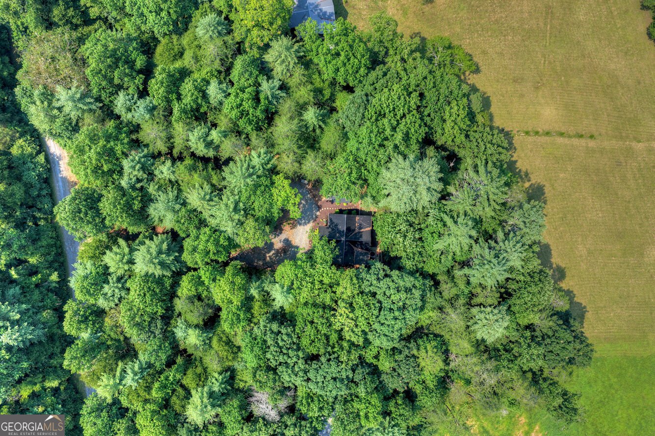 203 Buck Creek Trail Epworth - Photo 50