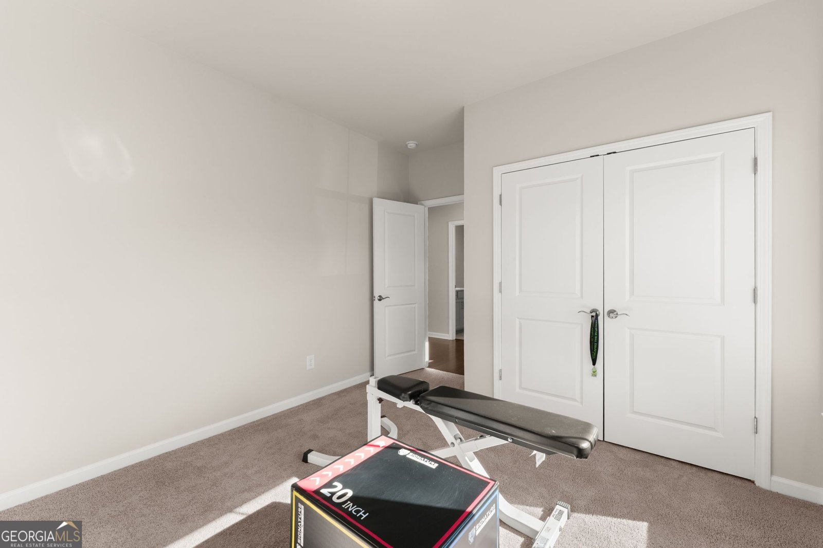 5845 Stargazer Way Cumming - Photo 31