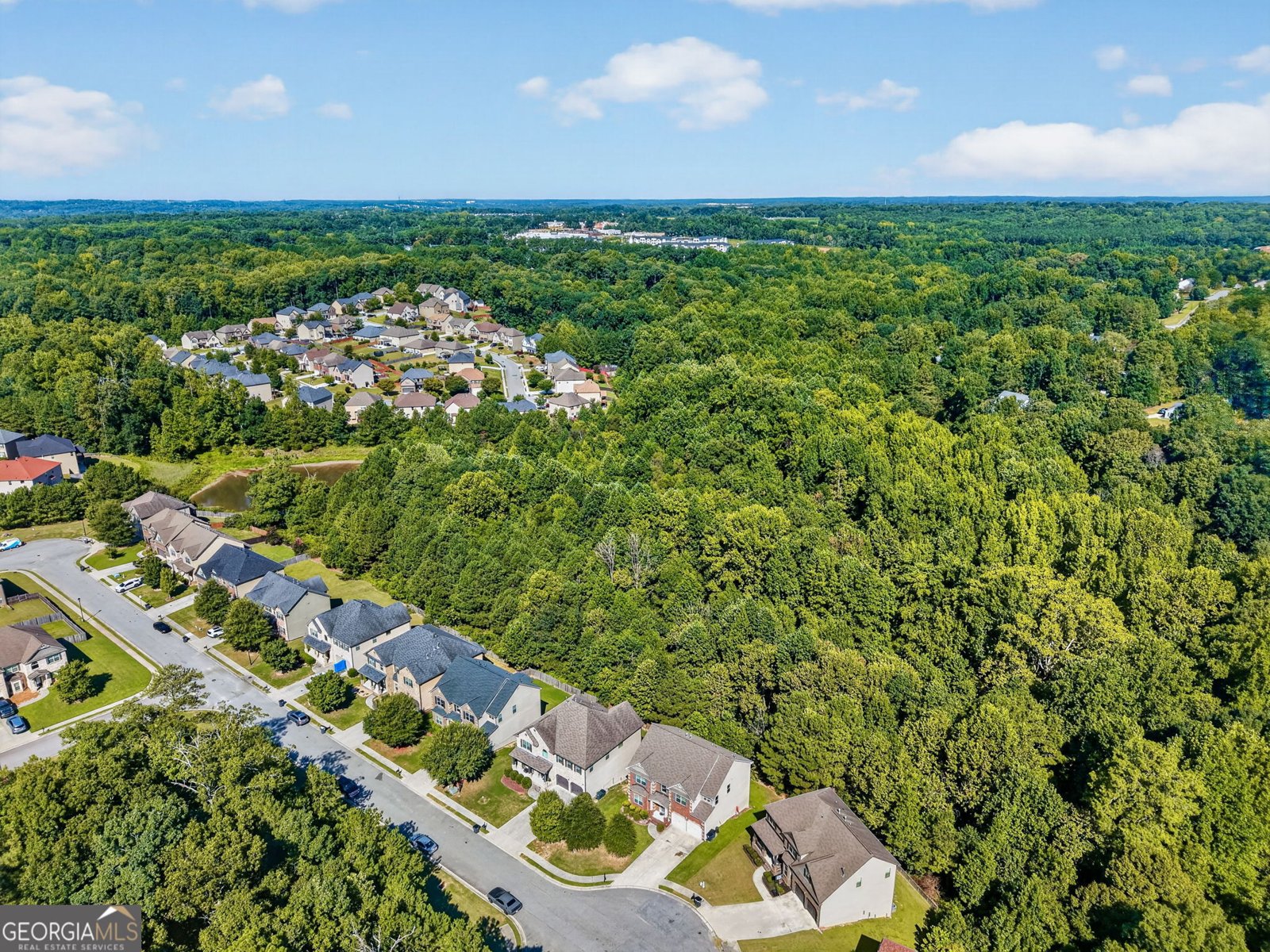 993 Bentley Estate Drive Dacula - Photo 54