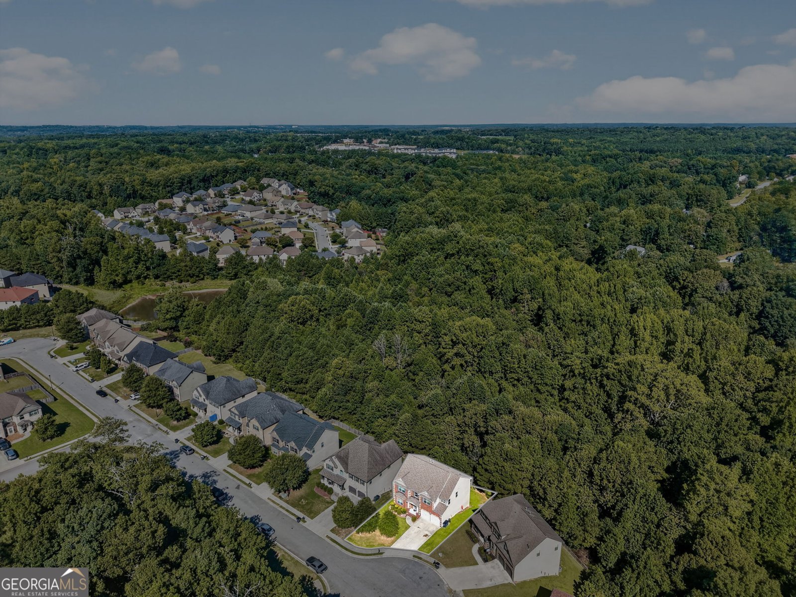 993 Bentley Estate Drive Dacula - Photo 59