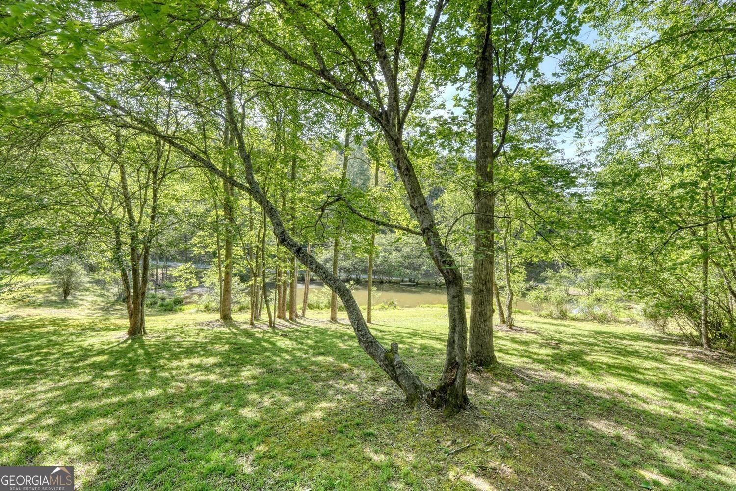 1493 Greasy Creek Road Brasstown - Photo 35