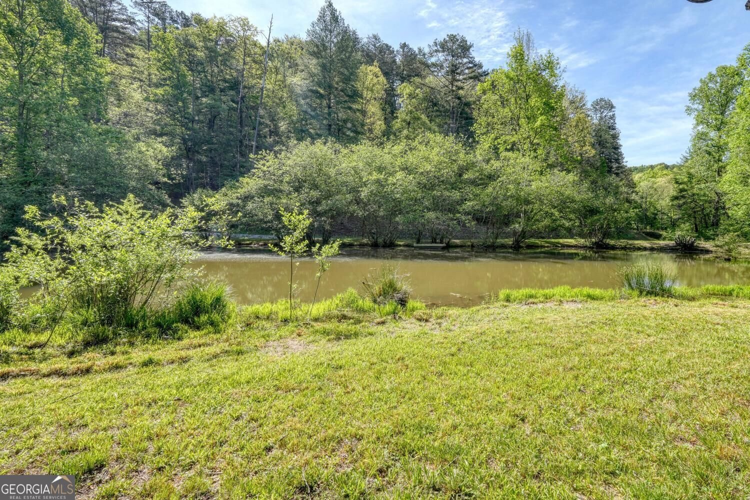 1493 Greasy Creek Road Brasstown - Photo 36