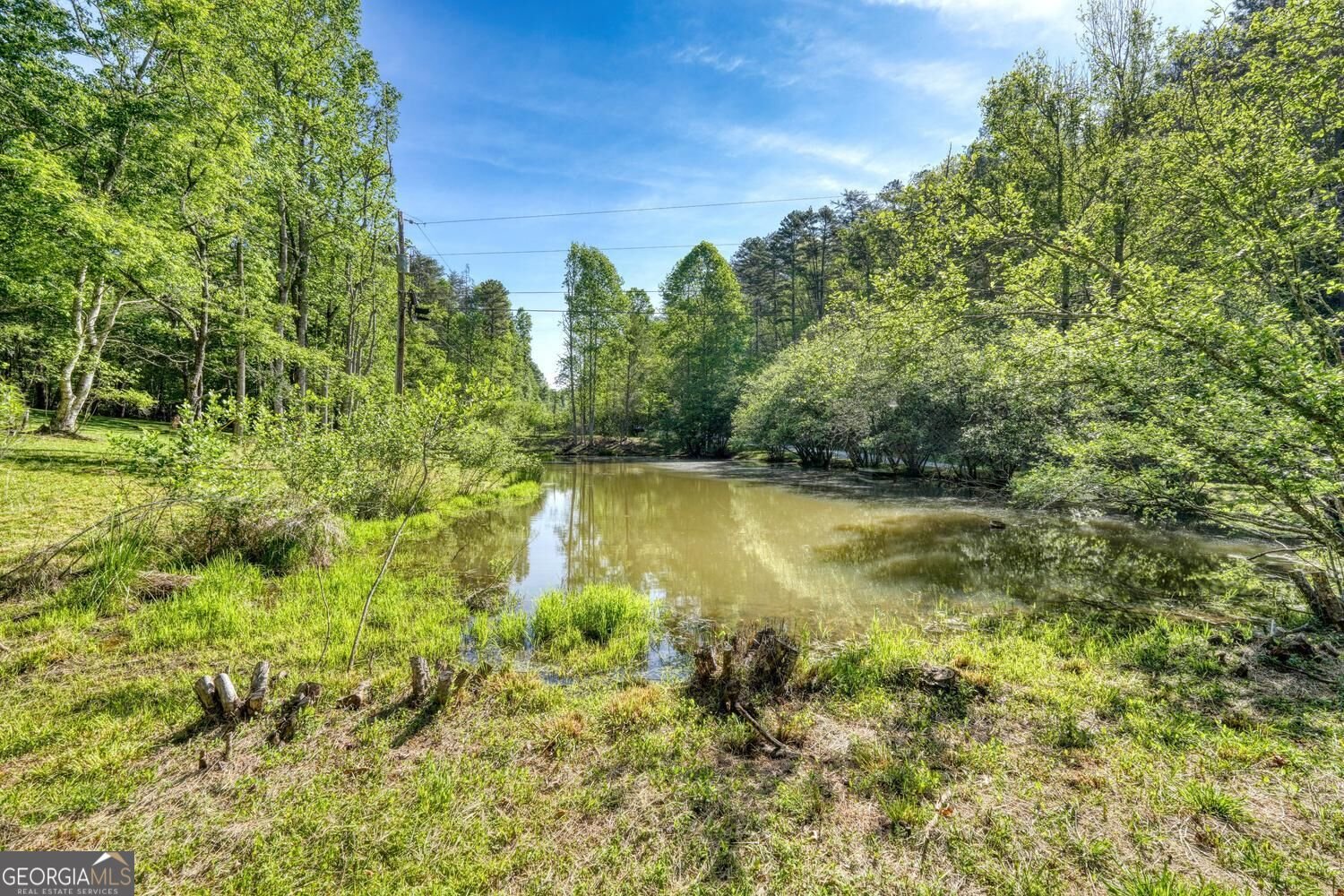 1493 Greasy Creek Road Brasstown - Photo 37